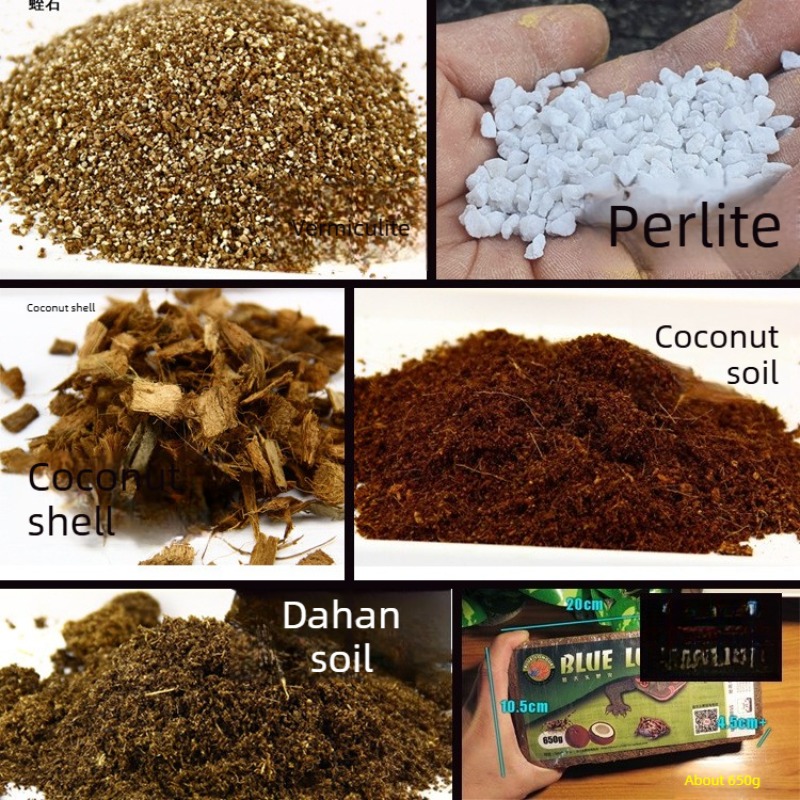Sphagnum Moss Dry - Coconut Soil Brick Reptile Substrate Tortoise