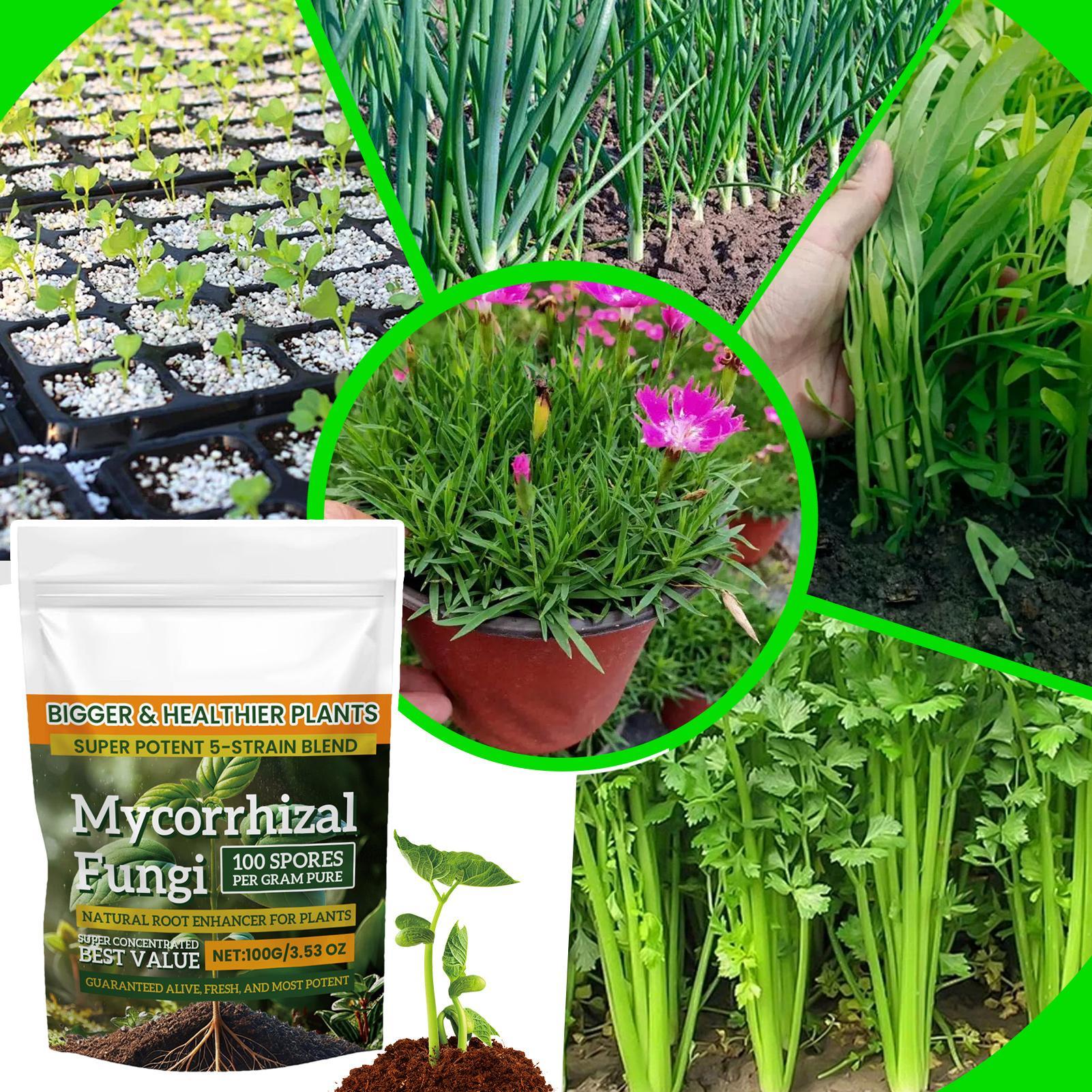 Rooting Hormone Powder - 100g Plant Fertilizer Powder Plant Growth
