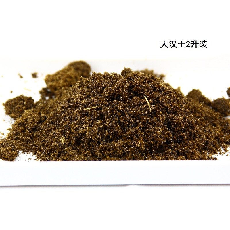 Coconut Soil Brick Reptile Sub - Sphagnum Moss Dry ulasan dan harga