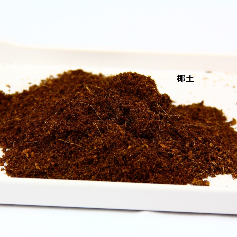 Coconut Soil Brick Reptile Sub - Sphagnum Moss Dry ulasan dan harga