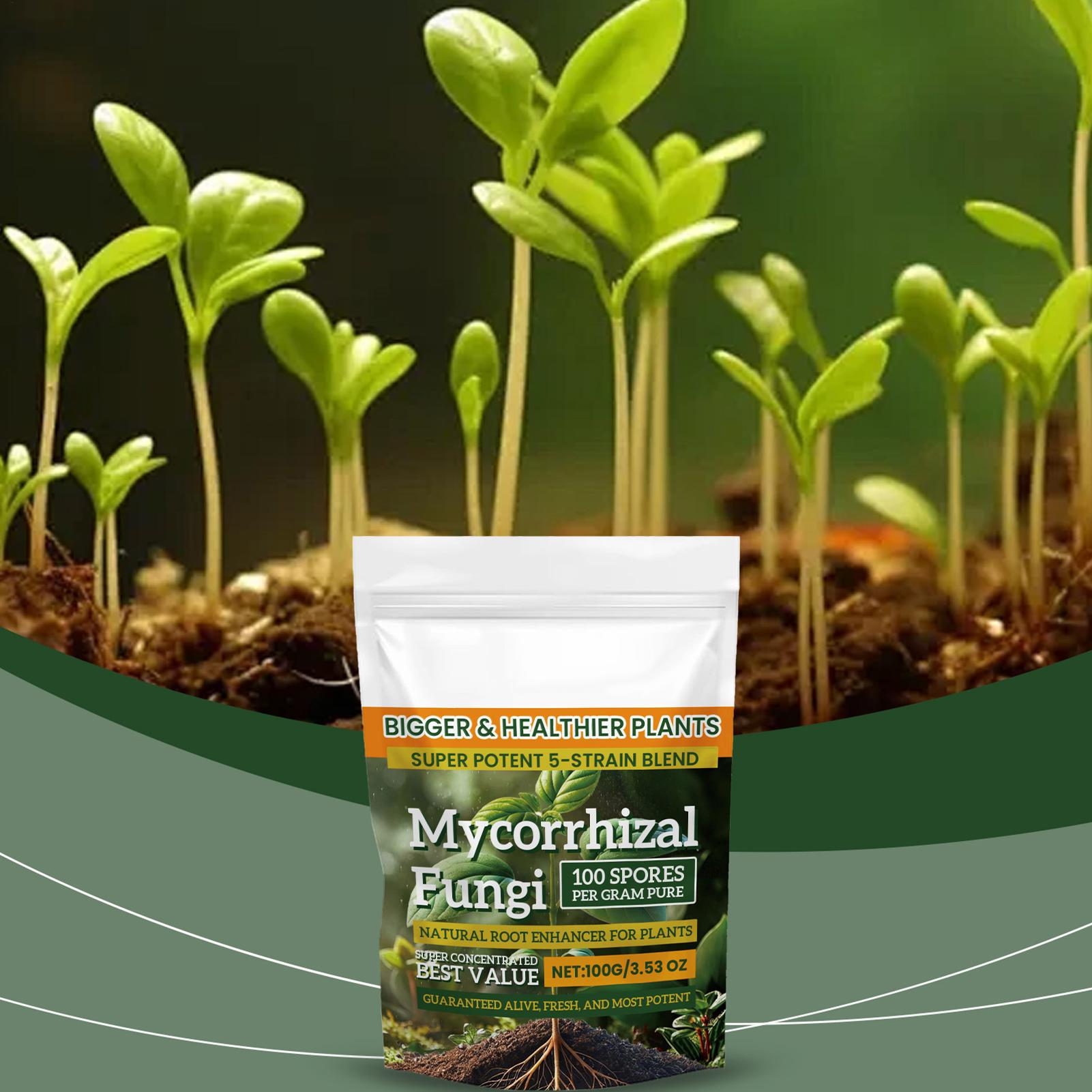 100g Plant Fertilizer Powder P - Rooting Hormone Powder ulasan dan harga
