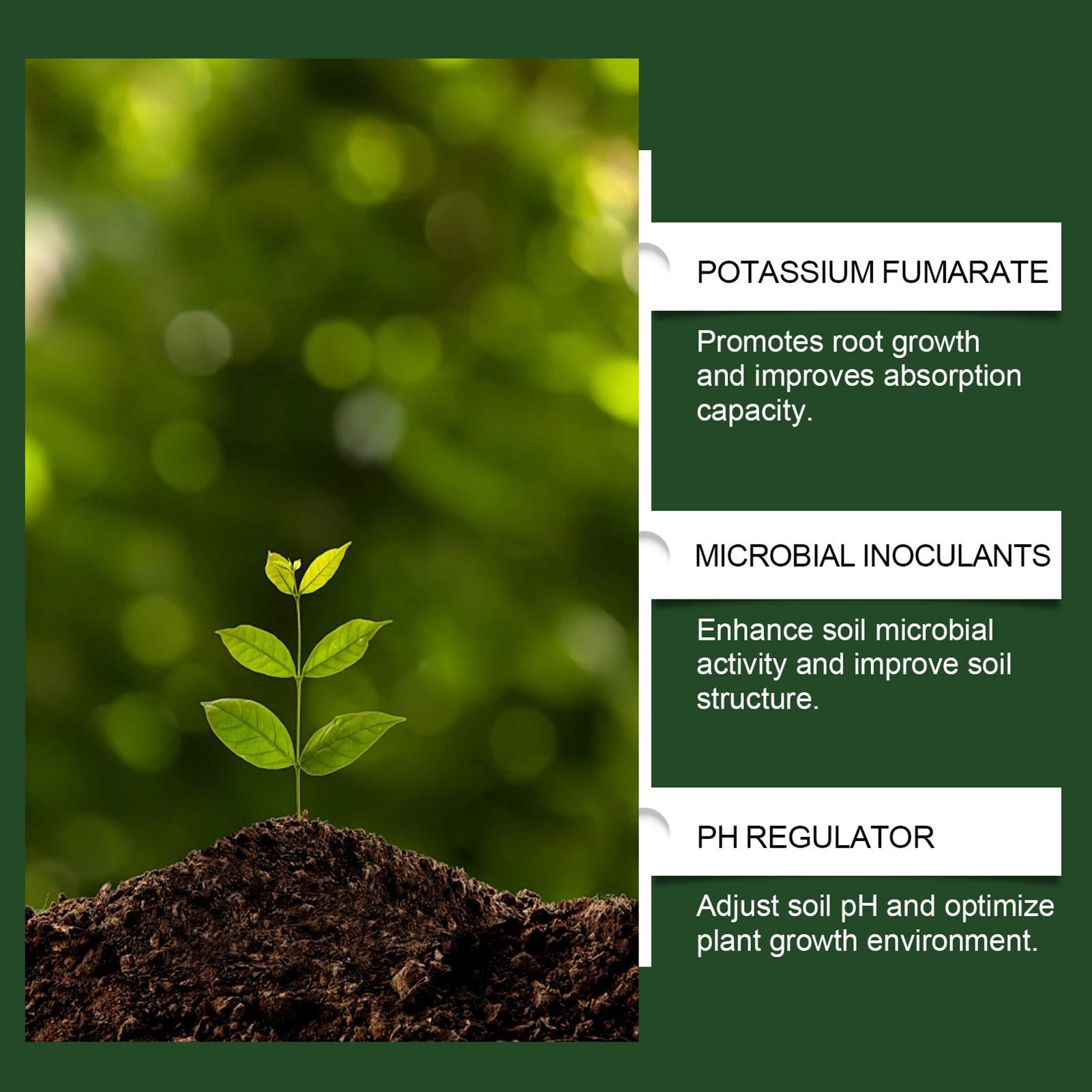100g Plant Fertilizer Powder P - Rooting Hormone Powder ulasan dan harga