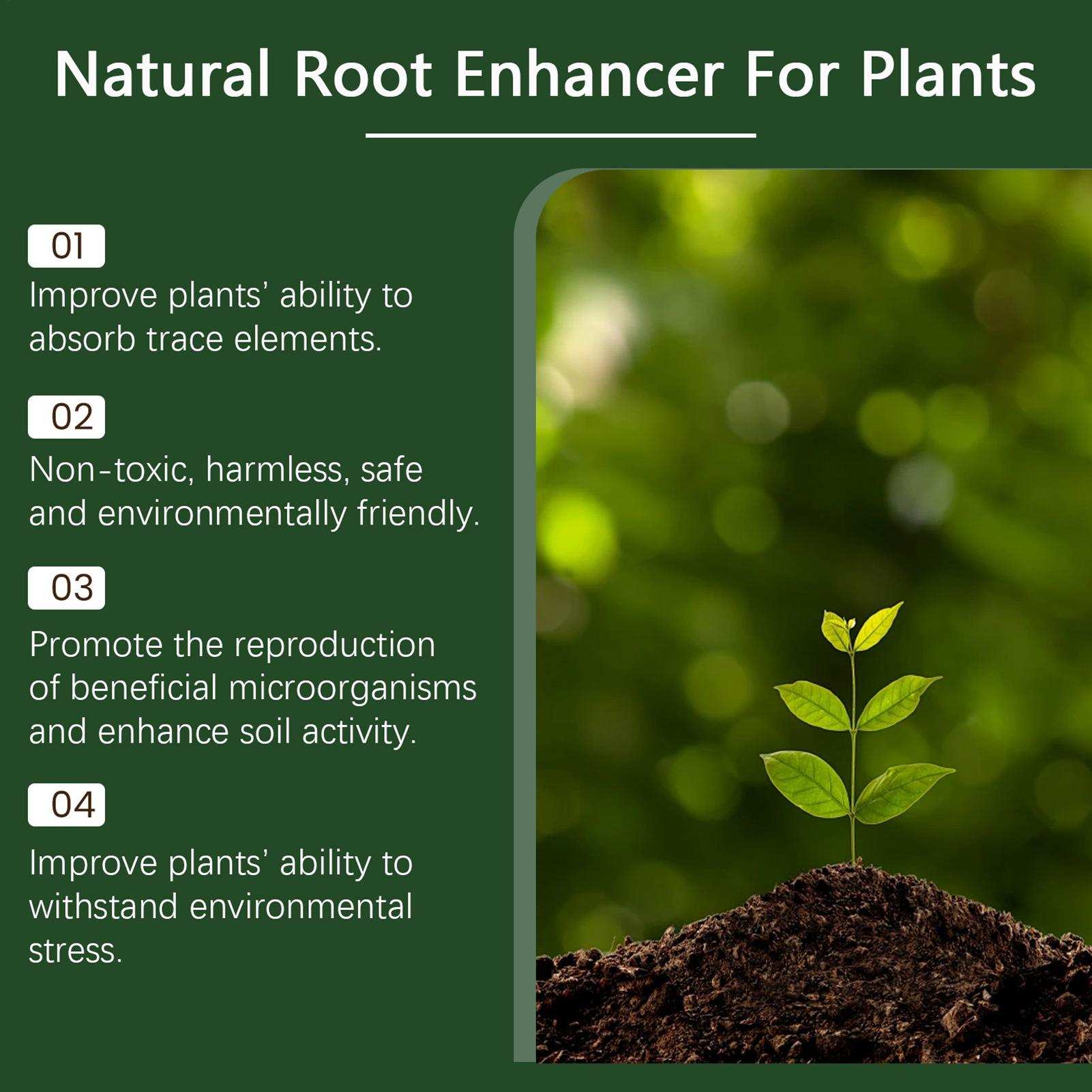 100g Plant Fertilizer Powder P - Rooting Hormone Powder ulasan dan harga