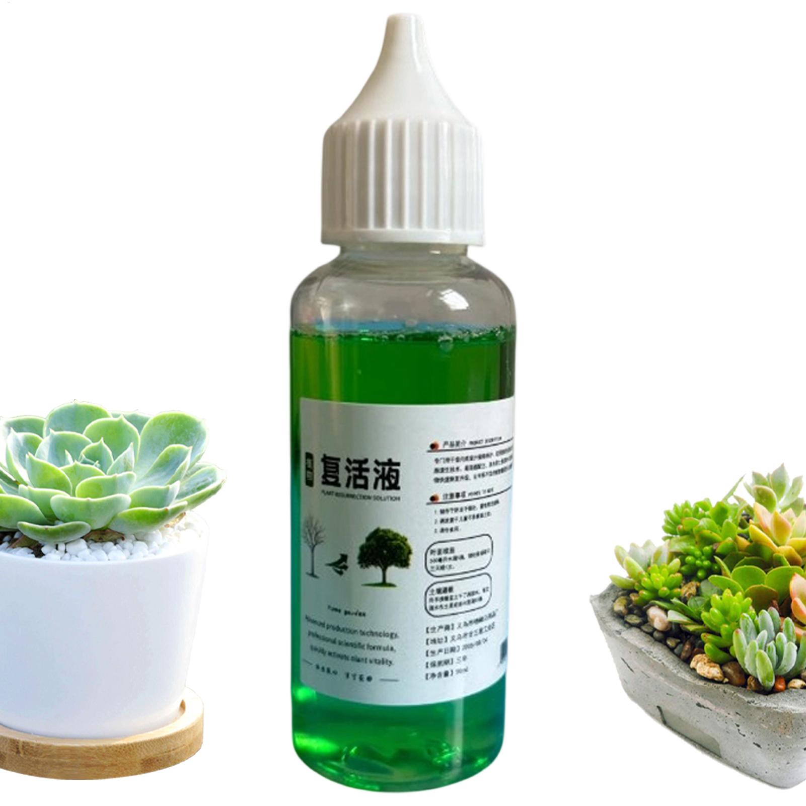 Root Stimulator for Plants Liq - Root Stimulator Liquid ulasan dan harga