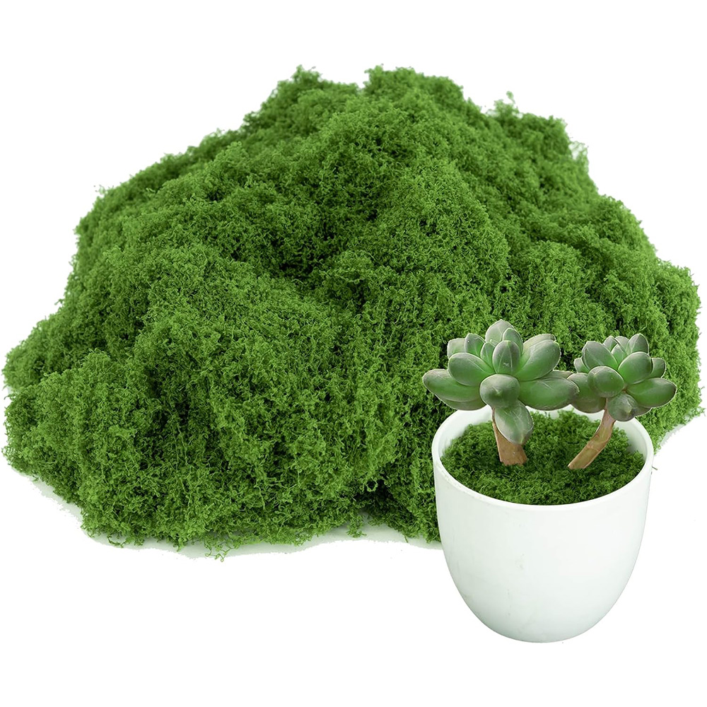 Eternal Life Moss DIY Crafts G - Sphagnum Moss Dry ulasan dan harga