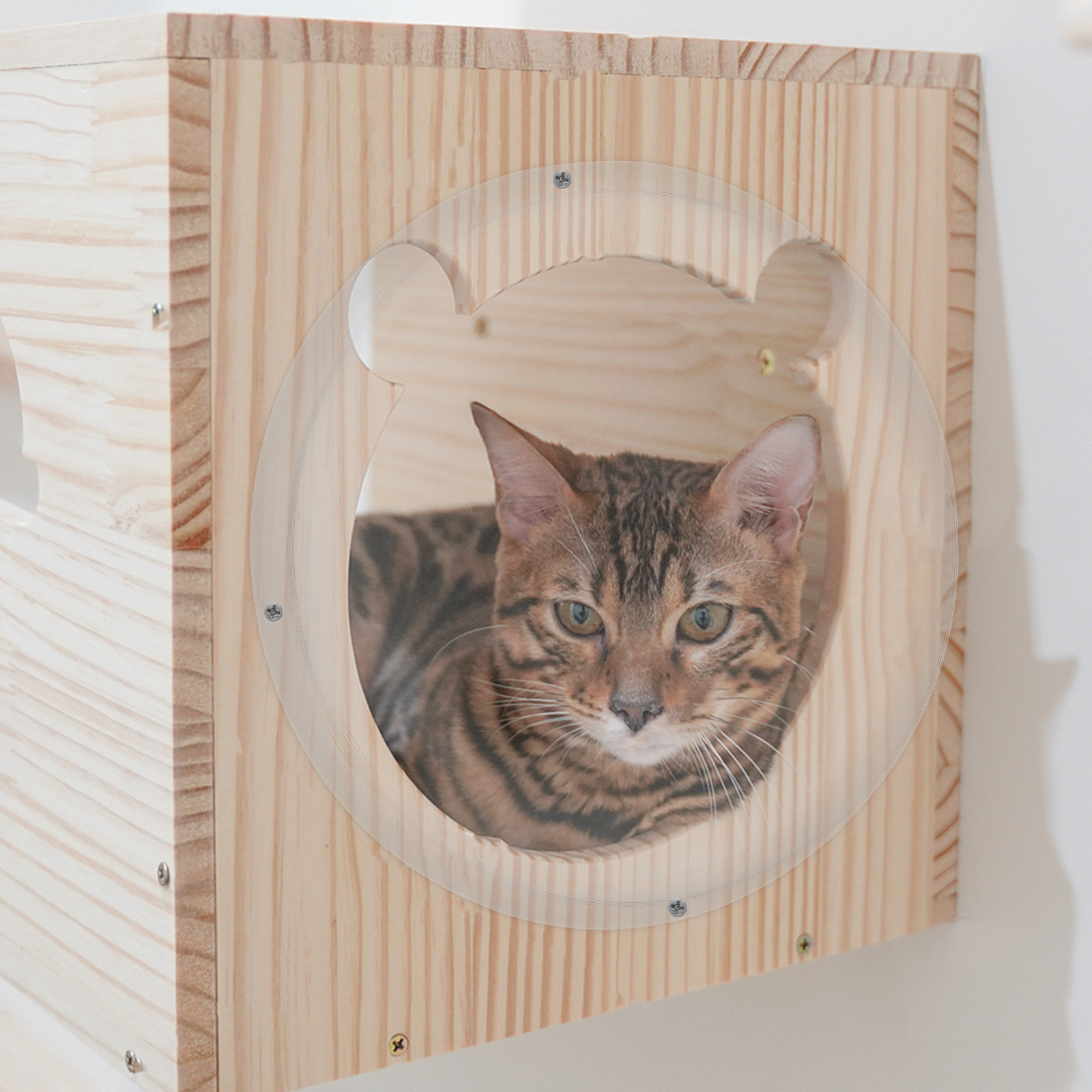 22Cm Clear Acrylic Cat Nest Ca - Plastic Dome Clear ulasan dan harga