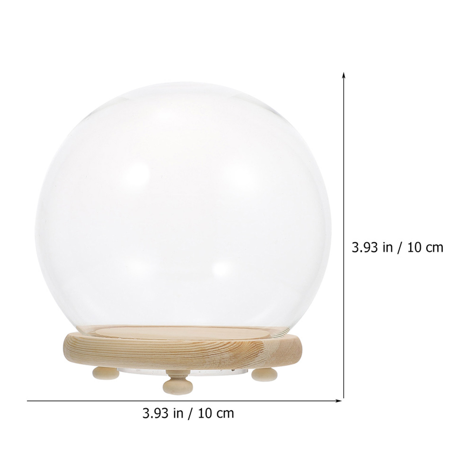 Preserved Flower Glass Dome Cl - Plastic Dome Clear ulasan dan harga