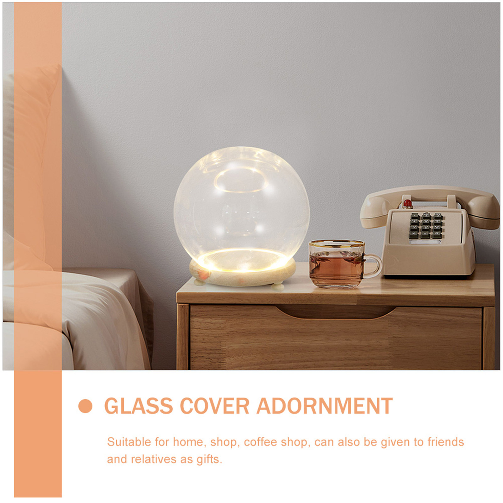 Preserved Flower Glass Dome Cl - Plastic Dome Clear ulasan dan harga