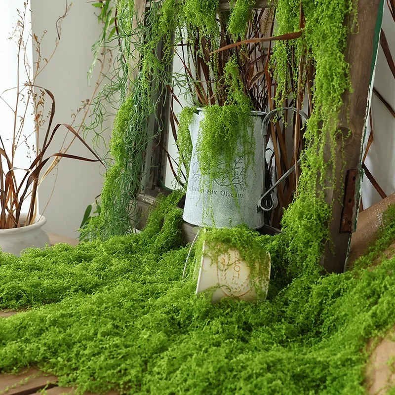 Realistic Artificial Moss Turf - Sphagnum Moss Dry ulasan dan harga