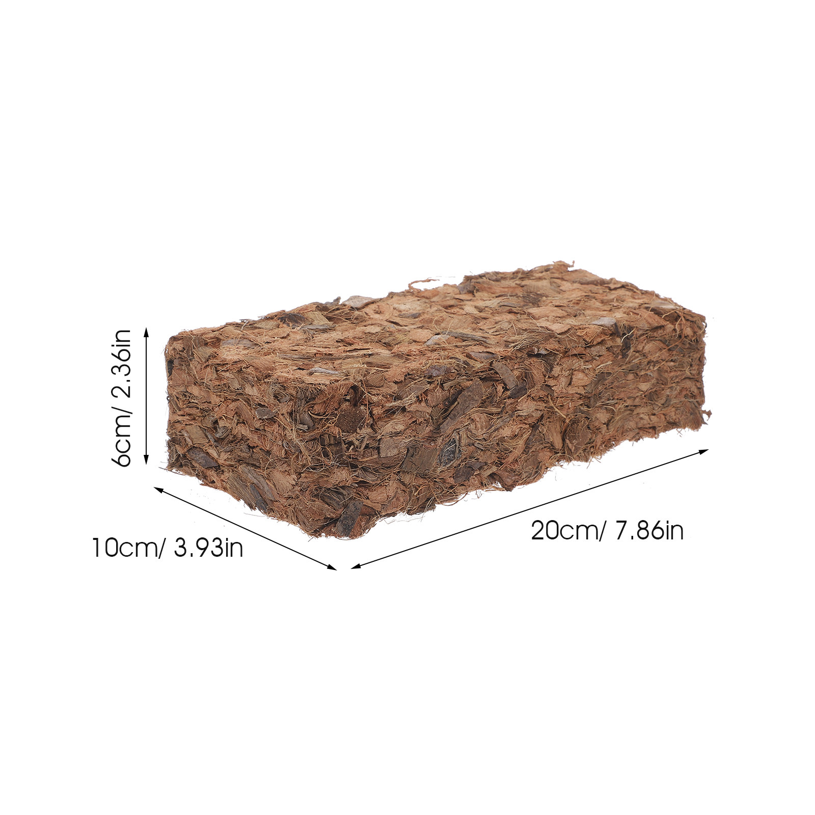 Sphagnum Coconut Shell Fertili - Sphagnum Moss Dry ulasan dan harga